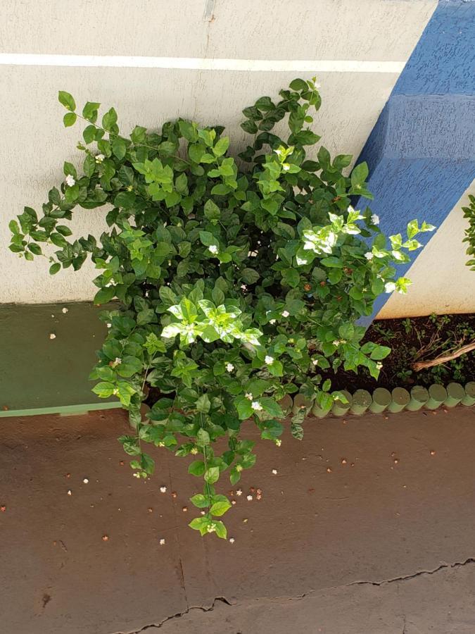 Hotel Flamboia Araraquara Zewnętrze zdjęcie